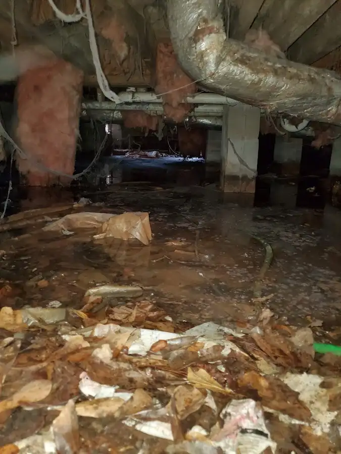 Crawl space flood assessment for Commercial Water Damage Restoration in Aston