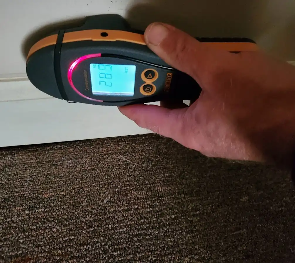 Moisture detection at baseboard during Sewage Cleanup & Sanitation in Aston
